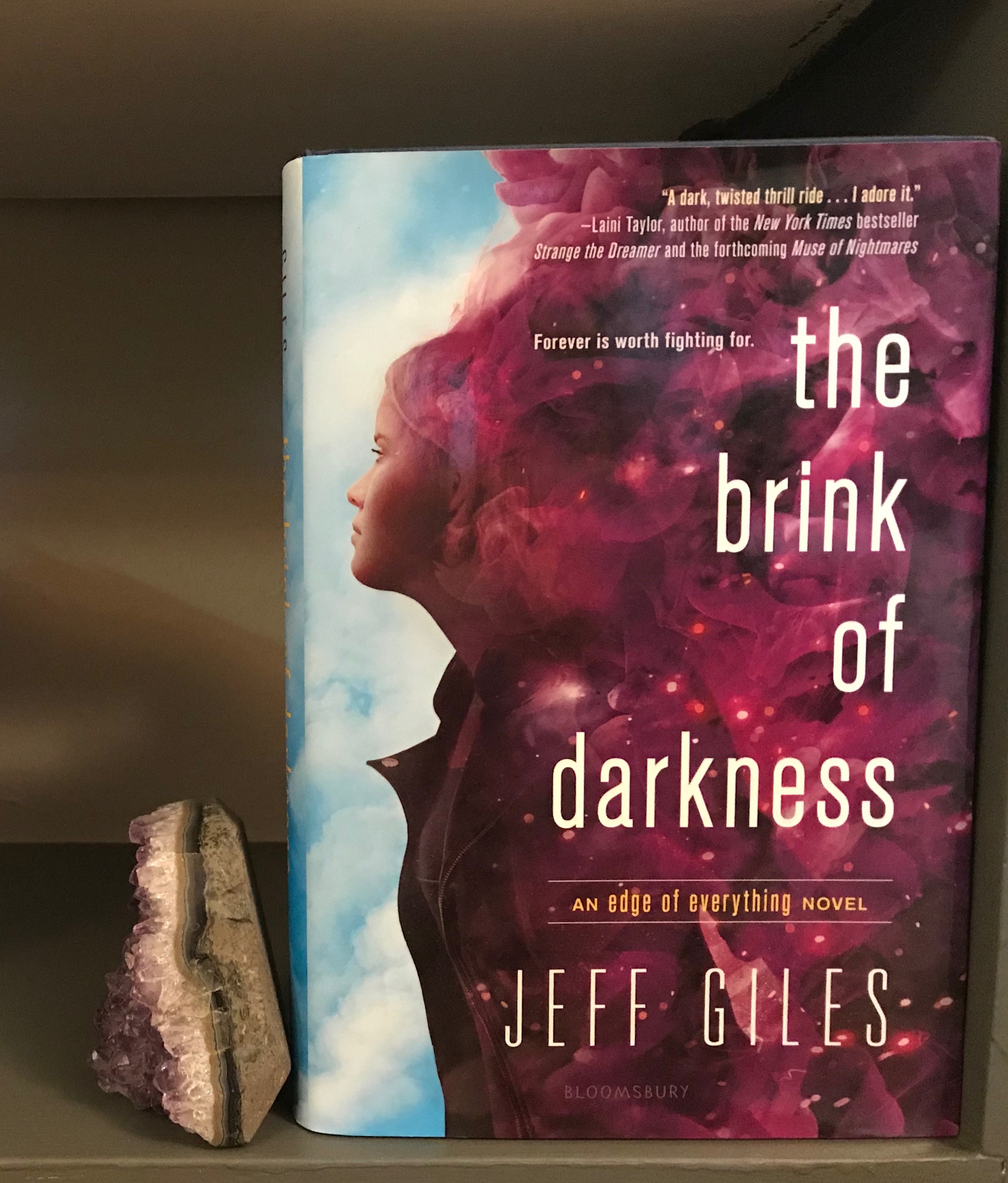 Review: The Brink of Darkness – Lit Lens